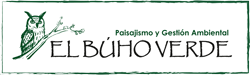 El Búho Verde